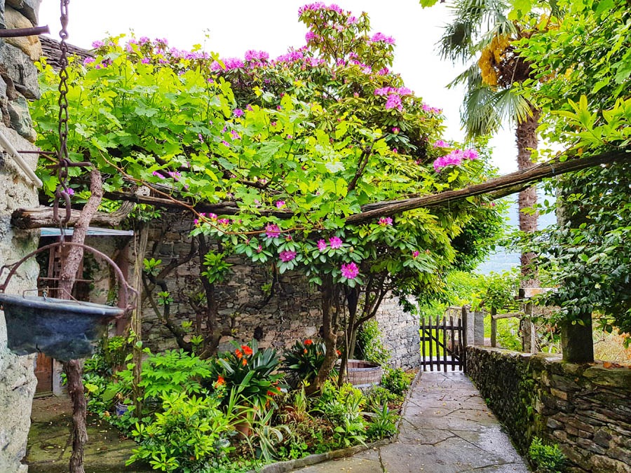 Tenuta Casa Cima, Guesthouse, Garden