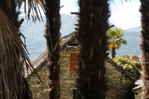 Tenuta Casa Cima, Guesthouse, Garden and palm trees