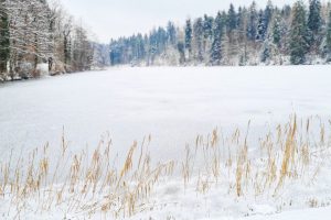 Winter Impression Sihlwald