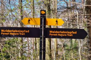 Forest Nature Trail Sihlwald