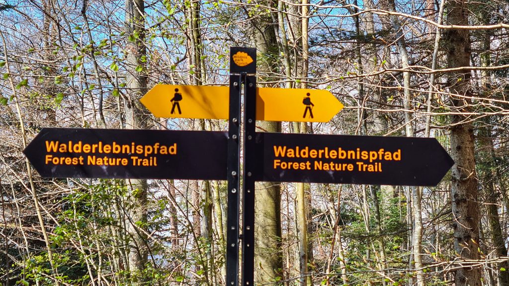 Forest Nature Trail Sihlwald