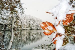 Winter Impression Sihlwald Pond