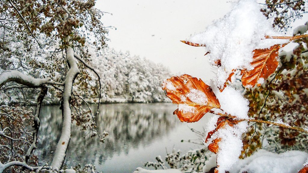 Winter Impression Sihlwald Pond