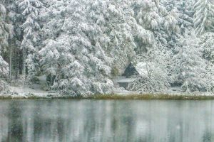Winter Impression Sihlwald Pond including the little forest cottage