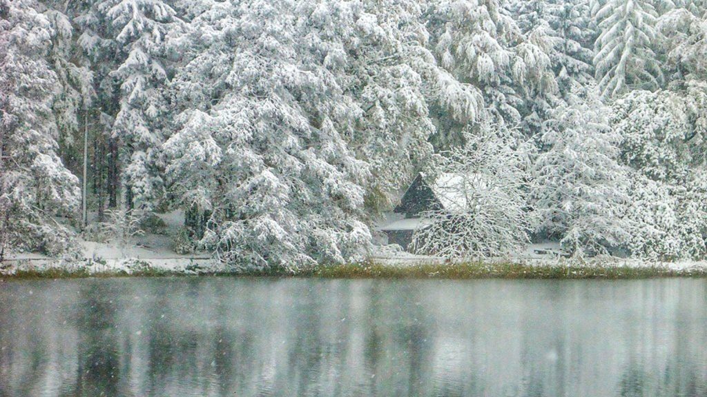 Winter Impression Sihlwald Pond including the little forest cottage