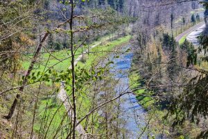 Sihlwald, Sihl Valley Impressions 2021, Sihl river