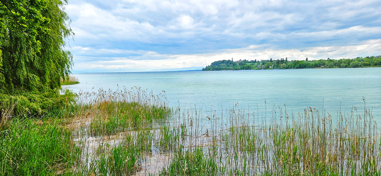 View of Lake Constance at the entrance to Mainau Island.